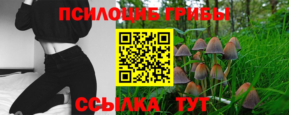 Галлюциногенные грибы мухоморы  Вход с VPN  Новотроицк  Псилоцибиновые грибы Psilocybe 